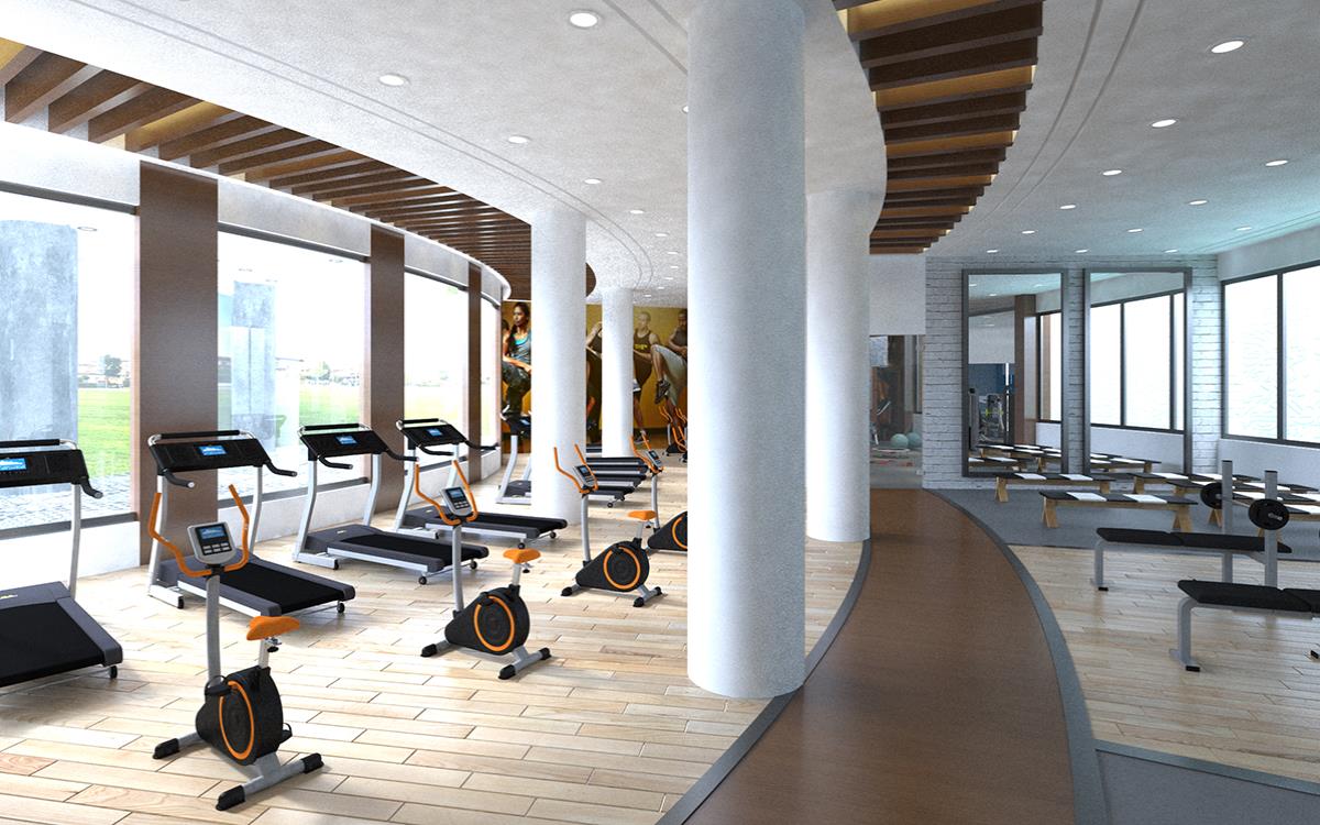 Basement Gym
